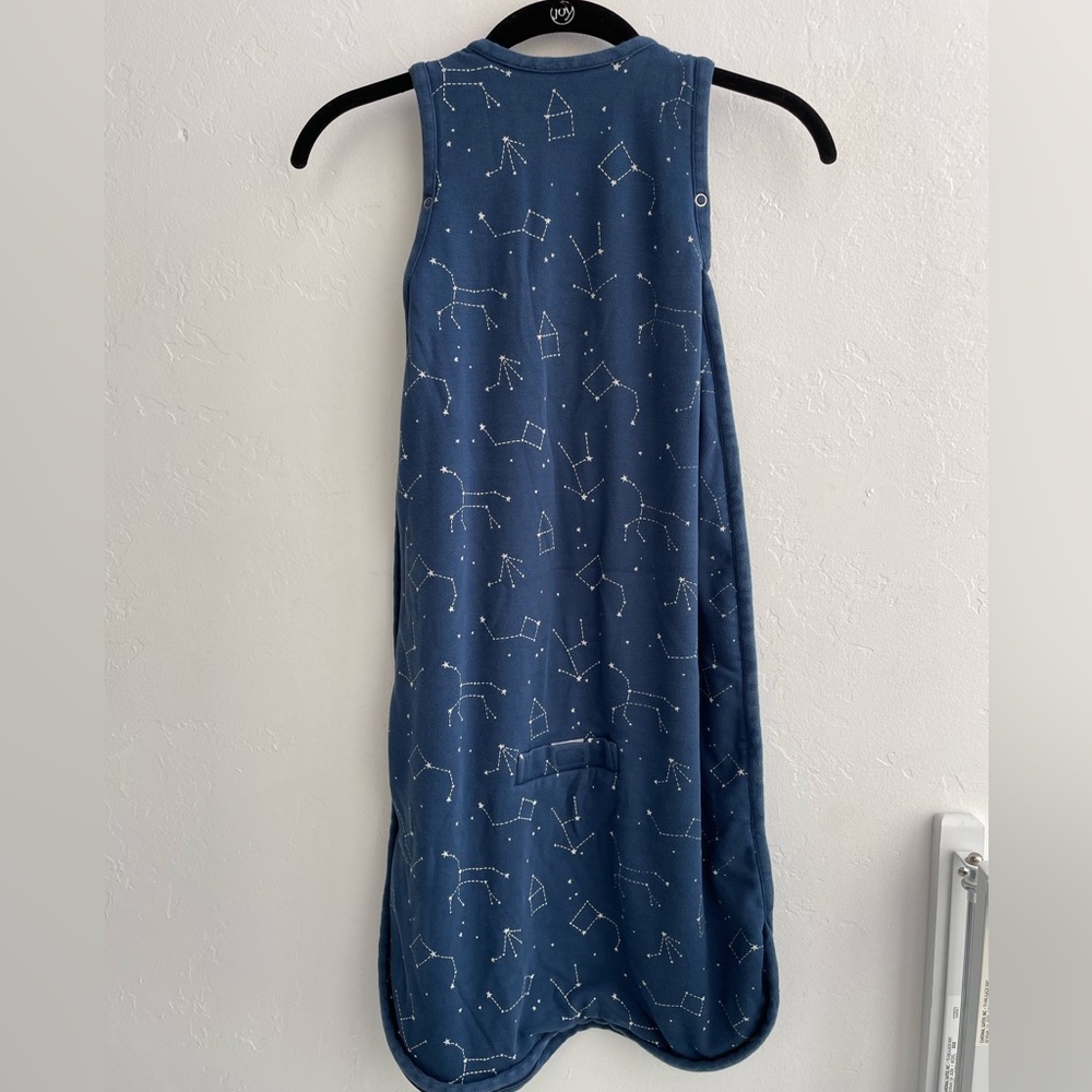 Woolino 4-Season 100% Merino Wool Sleep Sack 2-24 mos.
